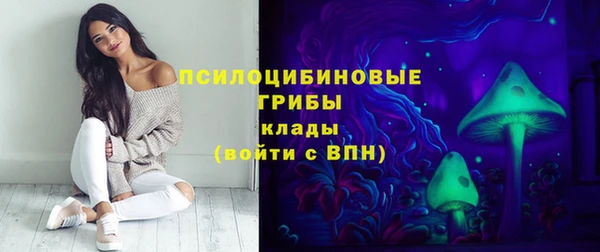 стаф Алексеевка