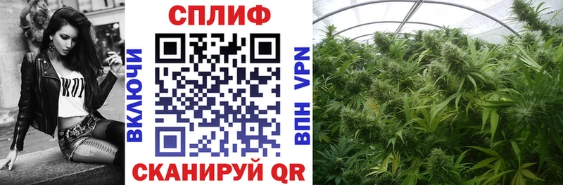 наркошоп  Емва  МАРИХУАНА SATIVA & INDICA 